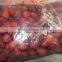 IQF frozen strawberries