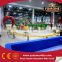 Professional china manufacturer amusement park rides mini roller coaster apple bug outdoor equipment for sale