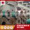 Trade Assurance Premium Quality 304 stainless steel coil with Competitive Price for Global Market
