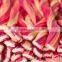 sweet&sour flavour long colorful twizzlers rainbow twists soft jelly candy