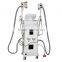 Beauty Salon Equipment Low Price Increasing Muscle Tone Cryolipolysis Slimming Machine Price Cryolipolysis Machine 3.5