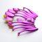 10pcs oval brush set plastic handle soft synthetic hair foundation powder tooth brush shape makeup set