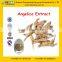 Angelica Extract / Angelica Root Extract from professional factory