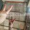 Best stainless steel plate