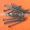 Common nails for construction usage iron nails