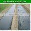 agricultural mulched soil plastic cover film