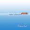 Spiral ratchet screwdriver /wooden handle screwdriver SBS027