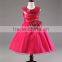 Little Baby Girls Dress Party Costume Bow Lace Sequins Flower Princess Tutu Dresses Children Clothes Kids Clothing