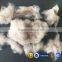 Whosale Kashmir Pure Cashmre Fiber Sale