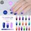 Free sample nail art starter acrylic color pigment nail color change dip powder
