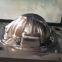 Customize Helmet Shell Plastic Injection Mold Safety Helmet Equipment Mould