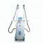 3d fat freeze Cryolipolysis machine Germany