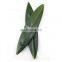 Natural Green Fresh Sushi Rolling Bamboo Leaves Food Decoration Leaf