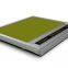 EWR-TD Series Electric Wheelchair Ramp