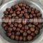 GYCH small 500kg lychee litchi peeling juicer machine