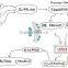 Import and Export Agent Import and Export service Import and Export