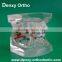 Plastic Orthodontic Materials Patient Education Models