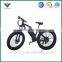 300w Fat Tires electric snow bike electric mountain bike electric bike battery