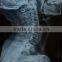 medical surgical film x ray film fuji diht for hospital use fuji diht 14x17                        
                                                Quality Choice