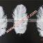 Wholesale Cheap DIY Multicolor Craft Small White Ostrich Feather 15cm to 20cm For Wedding Decorations