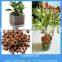 Soiless LECA clay pellets for hydroponic and aquarium