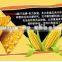 High quality doritos food extruder making machine/processing line