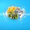 clear plastic packaging disposable salad bowl