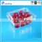 Full Color Printing Custom Plastic Fruit Packaging Boxes