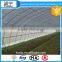 greenhouse anti insect net