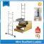 Lyte Multi-Purpose Platform and Scaffold Ladder steel ladder specifications