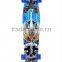 Wholesale long board colorful snake board