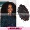 High Quality Russian Virgin Remy Kinky Curly Hair Weave