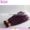 6A 7A 8A Cheap Wholesale Bohemian Purple Peruvian Virgin Kinky Curly Hair