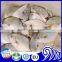 fresh white pomfret fish whole round on sale