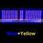 Popular pdt/ led light personal care(BL-001) CE/ISO personal care