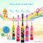 Most popular made in china Ultrasonic Sonic Wave Toothbrush HQC-014