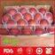 best price red fuji apple exporter in China