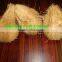 Semi Husked/best Quality Coconuts in Container
