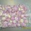 Small Package Peeled Shallot for export
