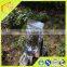 Pollution-Free 100% Pure Green Raw Propolis Wholesale