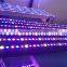 36W LED Grow Bar Light With Bridgelux Chip Full Spectrum Hydroponic Cultivation