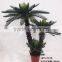 Artificial outdoor and indoor cycas for decoration
