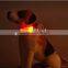 Battery free vibration energy PET collar with self-powered LED light