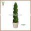 Boxwood spiral boxwood sphere preserved topiary