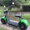 Citycoco Harley scooter hoverboard electric scooter green city bike