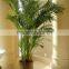 Indoor decoration Artificial Areca plant home decorarion fake artificial plant