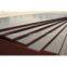1220x2440mm film faced plywood