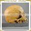 New Arrival Simulation Halloween Decorative Skull FGHS-0005