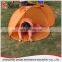Hot Selling Pop Up Beach Sun Dome Tent for Outdoor
