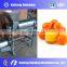 Spiral Type Fruit Juicer Machine Spiral propelling and extruding hawthorn juice extractor